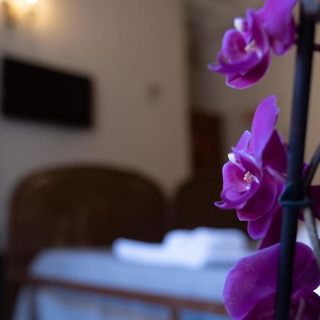 Citta Di Castello Rooms エクステリア 写真