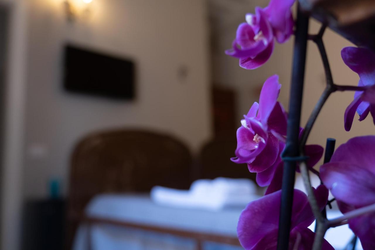 Citta Di Castello Rooms エクステリア 写真